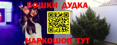 гашик Дубна