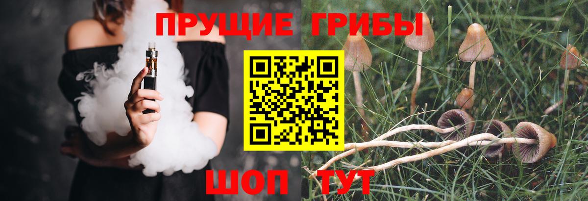 Набережные Челны  Галлюциногенные грибы ЛСД  Вход с VPN 